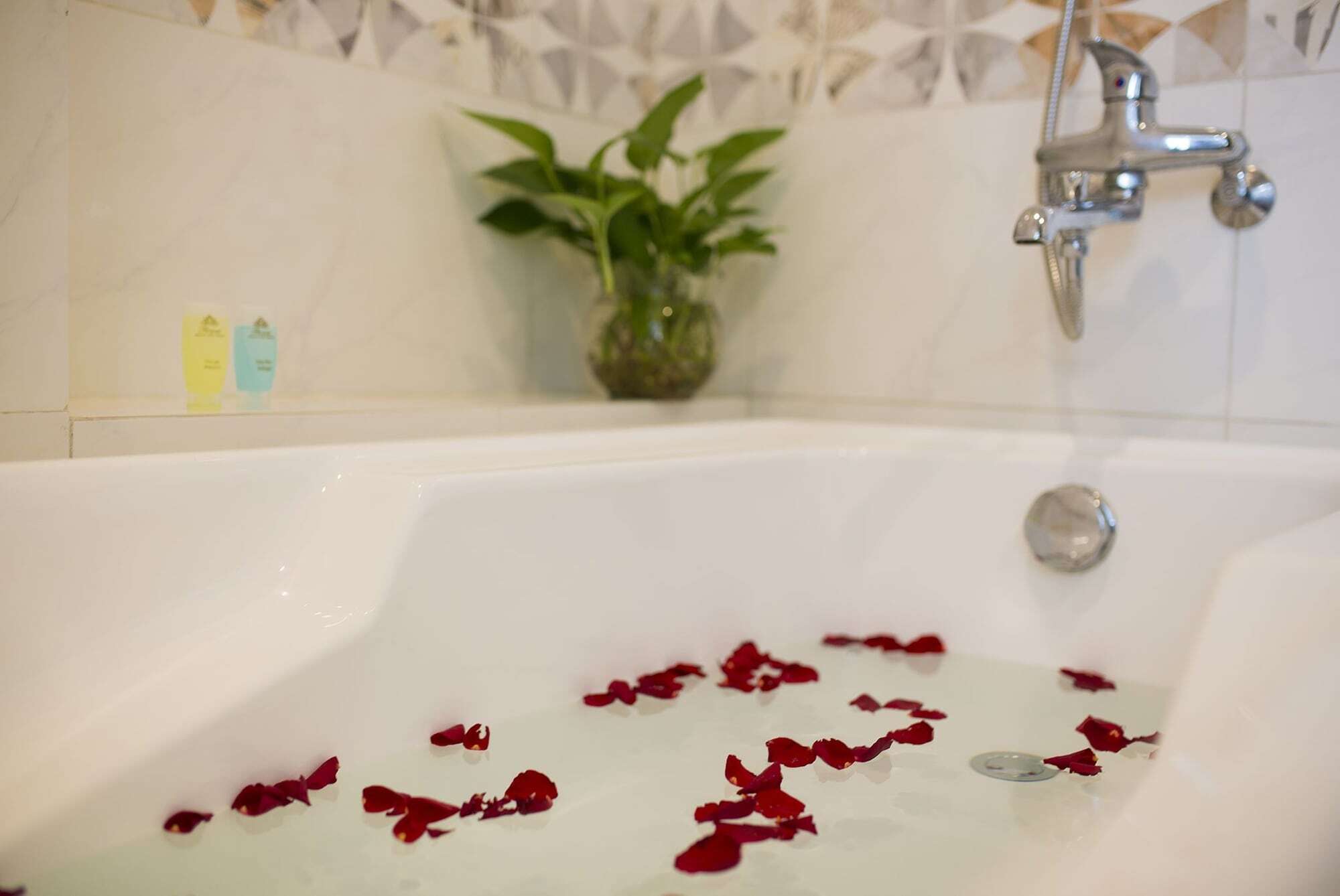 Hotel Flower 4*